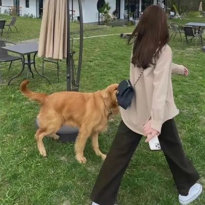 爱玩怪兽